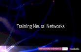 DLFS - Training Neural Networks - Databricks...Stochastic Gradient Descent • (Batch) Gradient Descent is computed on the full dataset (not efficient for large scale models and datasets).