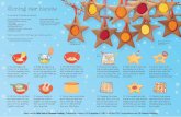 Shining Star Biscuits - Usborne Children’s Books · Shining To make about 20 biscuits, you will need: 50g (20z) light soft brown sugar 50g (20z) butter, softened a small egg 115g