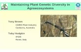 Maintaining Plant Genetic Diversity in Agroecosystemsarchive.unu.edu/env/plec/cbd/Montreal/presentations/BrownTony.pdfMaintaining Plant Genetic Diversity in Agroecosystems Tony Brown