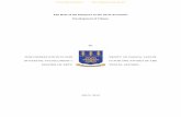 The Role of the Diaspora in the Socio-Economic …...The Role of the Diaspora in the Socio-Economic Development of Ghana By Innocent Badasu (10395034) THIS DISSERTATION IS SUBMITTED
