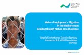 Water Employment Migration in the Mediterranean including ... · WEM under the UfM Water Agenda Aim To assist tackling water challenges as root causes of ... Nature based solution