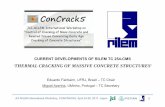 CURRENT DEVELOPMENTS OF RILEM TC 254-CMSconcrack5/PPT-PDF/Invited Lecture by M. Azenha.pdf · RILEM TC 254-CMS Thermal Cracking of Massive Concrete Structures Main objectives Initially