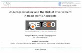 Underage Drinking and the Risk of Involvement in Road ... · Why are young road users at high risk? According to WHO (2004) (7) • Road environment (e.g. a mixture of high-speed