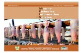 Marine Fisheries Information Serviceeprints.cmfri.org.in/12880/1/MFIS-233.pdf · A report on morphological abnormality in Scylla serrata 23 ... Paradeep harbour in Odisha; Mangrol