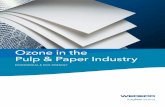 Ozone in the Pulp & Paper Industry - Xylem Inc. · Ozone in the pulp and paper industry – The ultimate choice for improved productivity and efficiency Xylem has set a new benchmark
