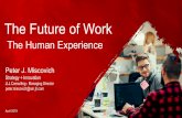 The Future of Work€¦ · Innovation. Combine new thinking, solutions and processes to drive value creation and accelerate transformation. Operational Excellence. Optimize enterprise