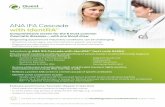 ANA IFA Cascade with IdentRA®* · ANA IFA Cascade with IdentRA®* Comprehensive screen for the 8 most common rheumatic diseases—with one blood draw Diagnosing autoimmune rheumatic
