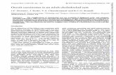 choledochal - Postgraduate Medical Journal · 204 CLINICALREPORTS Figure 2 Histopathological specimen showing adeno- carcinoma with squamous metaplasia (H&E; magnifi- cation x230).