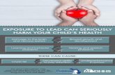 EXPOSURE TO LEAD CAN SERIOUSLY HARM YOUR CHILD’S … · EXPOSURE TO LEAD CAN SERIOUSLY HARM YOUR CHILD’S HEALTH THESE CAN CAUSE: Damage to the brain and nervous system Slowed