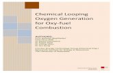 Chemical Looping Oxygen Generation for Oxy-fuel Combustionanlecrd.com.au/wp-content/uploads/2016/08/3-1110... · Chemical Looping Oxygen Generation for Oxy-fuel Combustion 2015 3