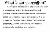 What is an ecoregion? - WordPress.com...TemperatureChange–a rise in temperature will cause a rock to expand and a decrease in temperature will cause a rock to contract. Repeated