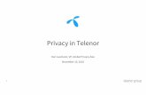 Privacy in Telenor · 15/11/2018  · Telenor’s position on privacy 15 Telenor’s privacy position Trusted business Build trust and create value for customers Pursue our business