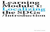 Learning Module 1: Localizing the SDGs...Learning Module 1: Localizing the SDGs /Introduction The Trainer’s Guide. Supported by the ... it is LRG elected and appointed officials’