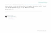 EL USO DE LA AYAHUASCA EN LA AMAZONIA USE OF AYAHUASCA … · USE OF AYAHUASCA IN THE AMAZONIA Abstract The yagé is a hallucinogenic plant (Banisteriopsis caapi) widely distributed