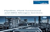 Pipeline, Plant Turnaround and MRO Nitrogen Services plant...Our services for Pipeline and Plant Turnaround Services include: → Purging → Pipeline Drying (nitrogen can achieve
