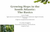 Growing Hops in the South Atlantic: The Basics...The Basics Laura Siegle Agriculture and Natural Resources Extension Agent-Amelia County Virginia Cooperative Extension Dr. Holly Scoggins