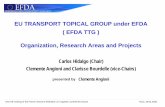 EU TRANSPORT TOPICAL GROUP under EFDA ( EFDA TTG ) … · 2008-05-06 · EU TRANSPORT TOPICAL GROUP under EFDA ( EFDA TTG ) Organization, Research Areas and Projects Carlos Hidalgo