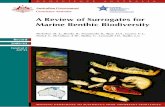 A review of abiotic surrogates for marine benthic biodiversity · Abiotic Surrogates Review Executive Summary A growing need to sustainably manage marine biodiversity at local, regional