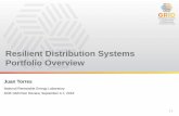 Resilient Distribution Systems Portfolio Overview...22 Resilient Distribution Systems Lab Call Overview Seeks to develop and validate innovative approaches to enhance the resilience