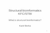 Structural bioinformatics KFC/STBIfch.upol.cz/wp-content/uploads/2015/07/01_STBI_EN_opening_vz06.… · Bioinformatics (Molecular) bio – informatics: bioinformatics is conceptualising