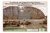 Scaling-up Egg Production: Management, Markets, Regulation ...blog.uvm.edu/farmvia/files/2018/10/FBRR013-2015-Scaling-Up-Egg-Production.pdfregimen, feed systems, water systems, housing,