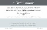Black River Wild Forest UMP AmendmentBlack River Wild Forest UMP Amendment – August 2018 2 These trails are located in the periphery of Wild Forest or other Forest Preserve areas