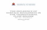 THE INFLUENCE OF SURFACE ROUGHNESS IN THE … · THE INFLUENCE OF SURFACE ROUGHNESS IN THE TRANSITIONAL FLOW REGIME MSC 422 – Final Report Marilize Everts s29037078 Study Leader: