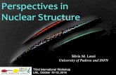 Perspectives in Nuclear Structure - Agenda (Indico)...Silvia Lenzi - SPES Workshop, LNL, 10-12 October, 2016 Extending the Elliott’s SU3 Elliott’s SU3 is well suited for the shell,