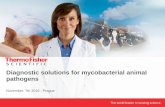 Diagnostic solutions for mycobacterial animal pathogens · 2020-04-03 · 4 Diagnostic For Animal Productivity and Zoonotic Diseases - Offering advanced diagnostic solutions for farm