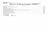 Blue Advantage HMO · 2020-04-03 · Blue Advantage HMO Table of Contents Search Criteria Product Type: BAV Sub Region: DALLAS Last Updated: April 01, 2020 Primary Care Practitioners