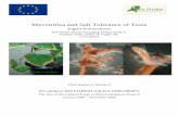 Mycorrhiza and Salt Tolerance of Trees...Mycorrhiza and Salt Tolerance of Trees Ingrid Weissenhorn Pius Floris Boomverzorging Nederland B.V. Postbus 2030, 5260 CA Vught, NL Final Report