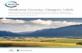 Wallowa County, Oregon, USA · Wallowa County, Oregon, USA ... forge and implement solutions to environmental challenges and achieve sustainable development. Working with many partners