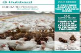 201904 - Hubbard-LEAFLET PREMIUM INTERMED · HUBBARD PREMIUM the natural choice! Robust chickens with excellent welfare traits, health, conformation and meat quality Growth rate: