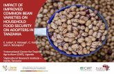 IMPACT OF IMPROVED COMMON BEAN VARIETIES ON …gl2016conf.iita.org/wp-content/uploads/2016/03/... · We use the continuous treatment impact evaluation - Generalized Propensity Score