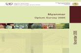 Myanmar - United Nations Office on Drugs and Crime · Myanmar Opium Survey 2005 3 EXECUTIVE SUMMARY The 2005 Opium Poppy Survey in Myanmar was conducted jointly by the Myanmar Government
