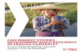 Photo Credit: Myanmar/Ezra Millstein CAN MARKET SYSTEMS ... · MERCY CORPS A Case Study of Making Vegetable Markets Work in Myanmar A 3 the short term by incentivizing the trial and