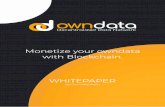Monetize your owndata with Blockchain.7 Potential of Owndata The big data market size is increasing non-stop. So the revenue of the market is increasing as well. Owndata is the best
