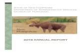 2018 ANNUAL REPORT - New Hampshire€¦ · (2) Central HR Processing Responsible for personnel records management policies and procedures, including monitoring recruitment, referral