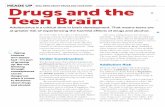 Drugs and the Teen Brain - Scholasticheadsup.scholastic.com/sites/default/files/NIDA17-INS1... · 2019-06-27 · As a result, they may crave drugs more strongly than adults. The earlier