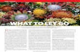 WHAT TO LET GO - University of Vermontjfarley/UFSC/grupos de trabalho...contains at least 0.5%, or 1,500, of the world’s 300,000 plant species as endemics — that is, species that