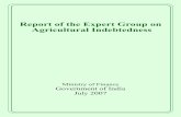Report of the Expert Group on Agricultural …Expert Group on Agricultural Indebtedness I. INTRODUCTION 1. The issue of farmers’ indebtedness becomes a matter of intense debate whenever