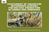 ASSESSMENT OF SUGARCANE OUTGROWER SCHEMES FOR …...white refined sugar against a historically high national white sugar demand of 230 000-250 000 tons per annum during the 1990s.