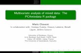 Multivariate analysis of mixed data: The PCAmixdata R package ... braud-et-saint-louis brouqueyran bruges