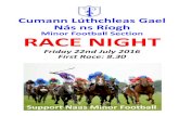 Minor Football Section RACE NIGHT - Outside the BoxWelcome to our Race Night Naas Minor Football Section would like to thank all those who bought horses for tonight's fundraiser and