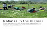 Balance in the Biotope · plants and their levels of chlorophyll and other pigments. In terms of root formation, a good mix of shallow- and deep-rooting plants can make optimum use