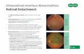 Vitreoretinal Interface Abnormalities · 2019-03-31 · Vitreoretinal Interface Abnormalities Retinal Detachment Is a sight threatening condition with an incidence of 1 in 10’000