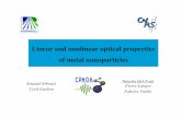 Linear and nonlinear optical properties of metal nanoparticles cophen04/Talks/ Fundamental properties