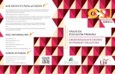 CAT - Universidad de Sevilla - UNDERGRADUAtE …cat.us.es/.../grado_educacion_primaria.pdfGRADO EN EDUCACIÓN PRIMARIA UNDERGRADUAtE DEGREE IN PRIMARy EDUCAtION Los requisitos de acceso