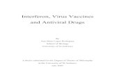 Interferon, Virus Vaccines and Antiviral Drugs · Interferon, Virus Vaccines and Antiviral Drugs By Ana Mara Lopes Rodrigues School of Biology University of St Andrews A thesis submitted