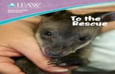 Animal Action Education To the Rescue · 5,000,000 young people worldwide each year. For more information about IFAW and the Animal Action Education programme, email ... • become